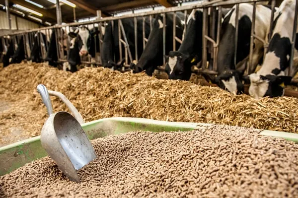 Nutrição Animal